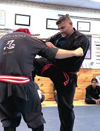 Image result for Budo Warrior Schools