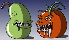 Image result for lol wut