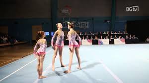 Image result for Harriers Acrobatic Gym Club