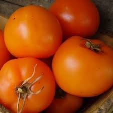 Afbeeldingsresultaat voor oranje van goeienbier tomato