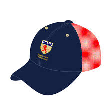 Image result for Halesowen Cricket Club