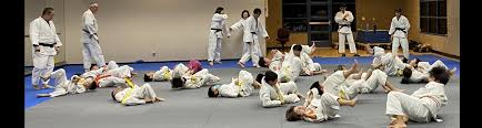 Image result for Sneyd Judo Club