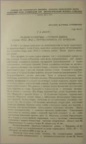 Attēlu rezultāti vaicājumam “Tettigoniodea”