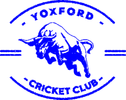 Image result for Yoxford Cricket Club