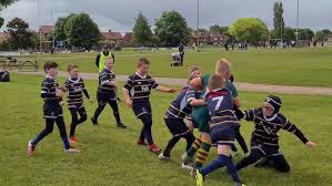Image result for York Acorn Rugby League Football Club