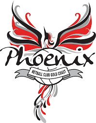 Image result for Dominos Netball Club