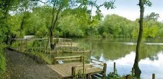 Image result for Addlestone Angling Society