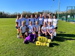 Image result for Redhill Girls Football Club