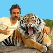 Image result for jeroom