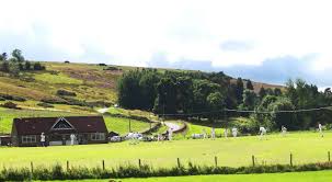 Image result for Glaisdale Cricket Club