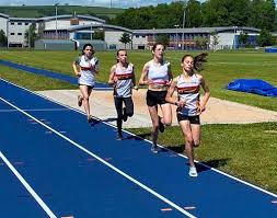 Image result for Pembrokeshire Harriers