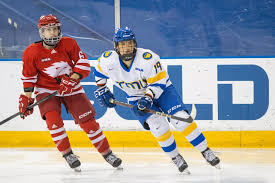 Image result for York University Street Hockey Club