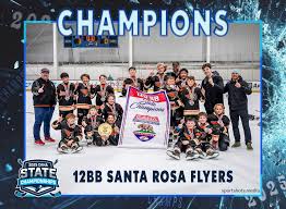 Image result for Stockton Ladies Hockey Club