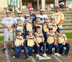 Image result for Hessle Baseball Club