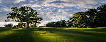 Image result for Badgemore Park Golf Club, Henley On Thames