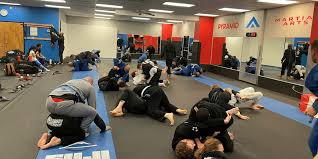 Image result for Pyramid martial arts