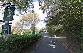 Image result for Leaves Green Bowmen