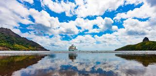 Attēlu rezultāti vaicājumam “Aranei exuvia”