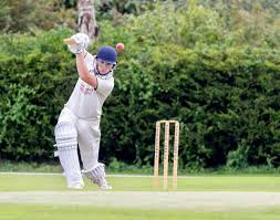 Image result for Goole Town Cricket Club