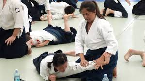 Image result for Fudokai Aikido Dojo
