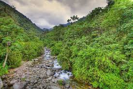 Image result for 國奴