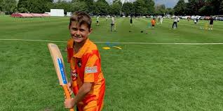 Image result for Alcester & Ragley CC