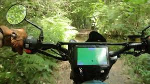 Image result for Abinger Forest Riding Club