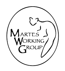 Attēlu rezultāti vaicājumam “Martes”