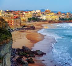 「ネスティ・バスク」の画像検索結果