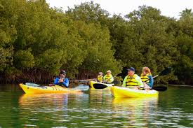 Image result for Martlet Kayak Club