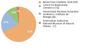 Attēlu rezultāti vaicājumam “Pachyphloeus melanoxanthus”