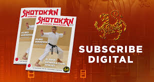 Image result for Junsui Shotokan Karate Do