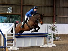 Image result for Shey Copse Riding Centre