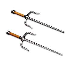 Image result for Sai Martial Arts