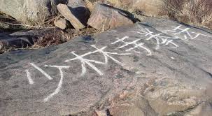 Image result for Harrow Shorinji Kempo