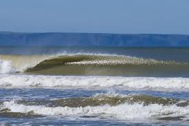 Image result for Croyde Surf Club