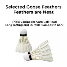 Image result for Feathers Badminton- Leatherhead