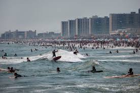 Image result for York University Surf Club