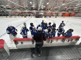 Image result for Lysander Badminton Club