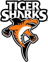 Image result for Selby Tiger Sharks Swimming Club