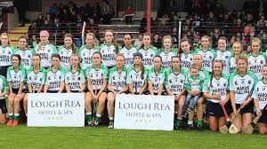 Image result for Sarsfields Hurling Club
