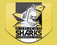 Image result for London Sharks Floorball Club