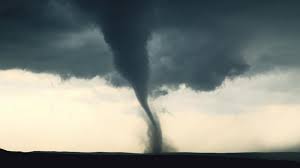 Image result for Tadcaster Tornadoes
