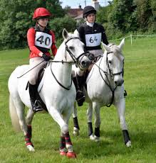 Image result for Bookham Riding School