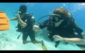 Image result for Exe To Sea Diving