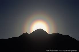 Attēlu rezultāti vaicājumam “pollen corona”