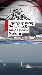 Hasil gambar untuk tsunami jepang