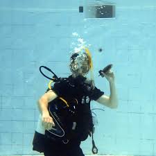 Image result for TAL Divers