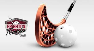 Image result for Brighton Rock Floorball Club