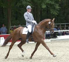 Image result for wiedenmann tehron